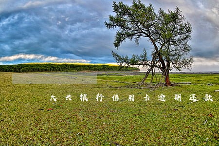 大兴银行信用卡逾期还款 大兴银行信用卡逾期还款