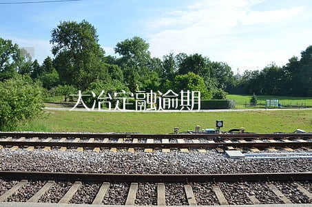 大冶定融逾期