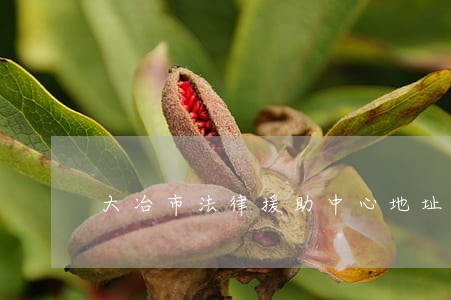 大冶市法律援助中心地址 大冶市法律援助中心地址
