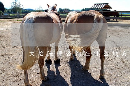 大冶法律咨询在什么地方 大冶法律咨询在什么地方