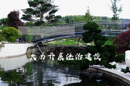 大力开展法治建设