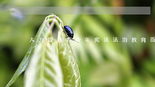 大力提升青少年宪法法治教育质量 大力提升青少年宪法法治教育质量