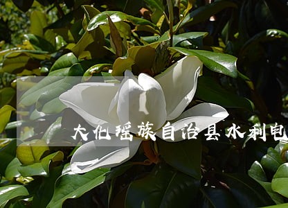 大化瑶族自治县水利电力在线律师
