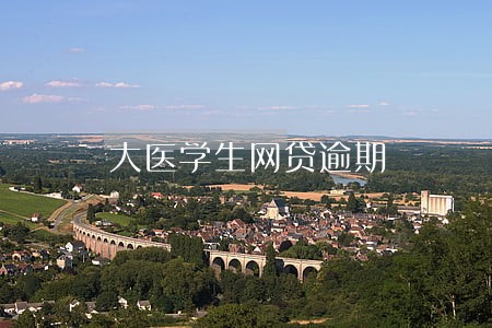 大医学生网贷逾期 大医学生网贷逾期