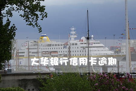 大华银行信用卡逾期 大华银行信用卡逾期