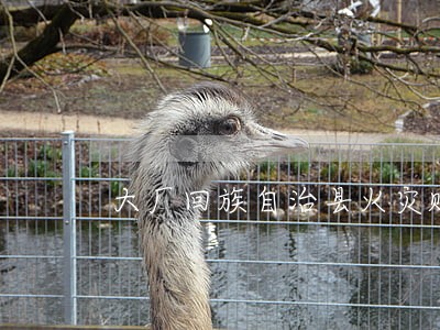 大厂回族自治县火灾赔偿在线律师 大厂回族自治县火灾赔偿在线律师