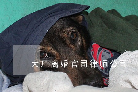 大厂离婚官司律师公司 大厂离婚官司律师公司