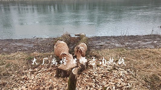 大厂离婚律师咨询热线