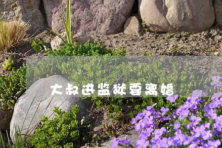大叔进监狱要离婚 大叔进监狱要离婚