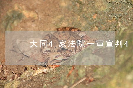 大同4家法院一审宣判4起涉恶案 大同4家法院一审宣判4起涉恶案
