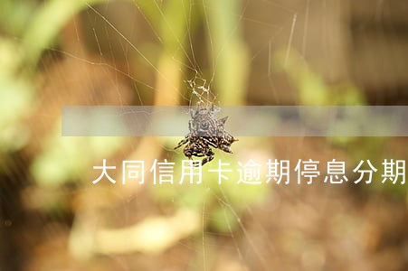 大同信用卡逾期停息分期怎么协商 大同信用卡逾期停息分期怎么协商