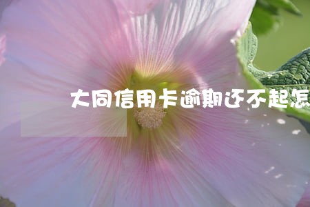 大同信用卡逾期还不起怎么办