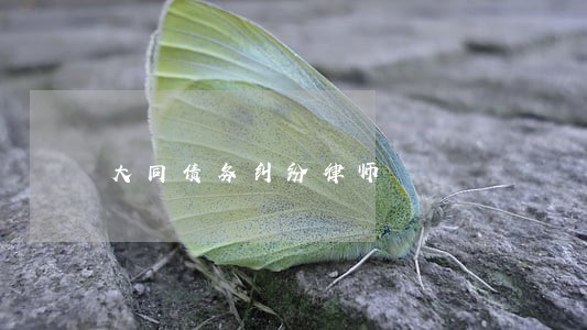 大同债务纠纷律师 大同债务纠纷律师