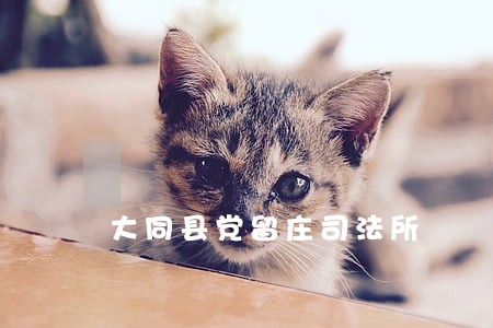 大同县党留庄司法所 大同县党留庄司法所