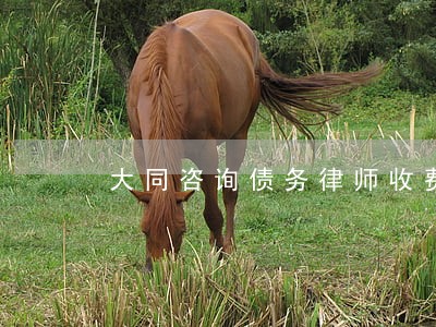 大同咨询债务律师收费多少 大同咨询债务律师收费多少
