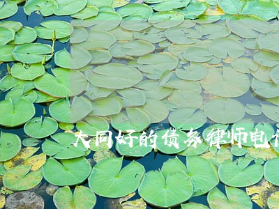 大同好的债务律师电话多少 大同好的债务律师电话多少