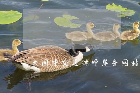 大同市交通律师服务网站