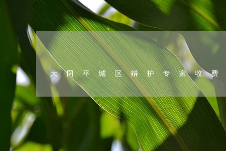 大同平城区辩护专家收费律师 大同平城区辩护专家收费律师