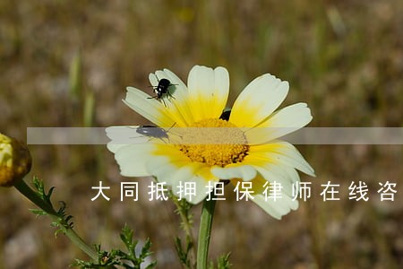 大同抵押担保律师在线咨询 大同抵押担保律师在线咨询