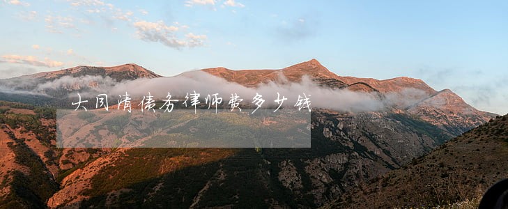 大同清债务律师费多少钱 大同清债务律师费多少钱