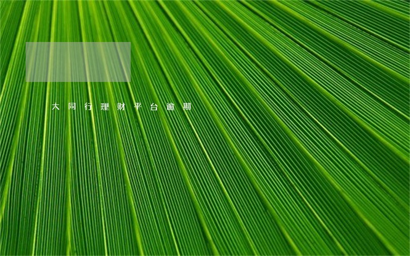 大同行理财平台逾期 大同行理财平台逾期