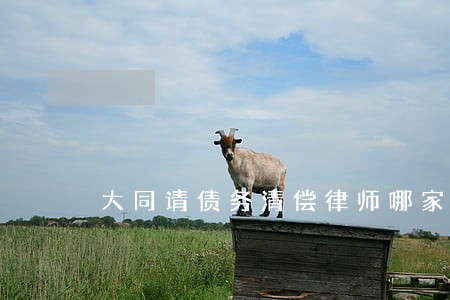 大同请债务清偿律师哪家好 大同请债务清偿律师哪家好