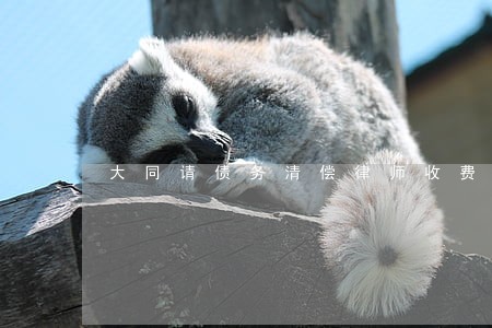 大同请债务清偿律师收费多少 大同请债务清偿律师收费多少