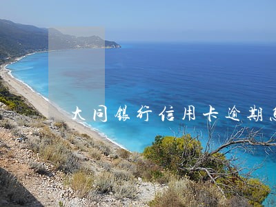 大同银行信用卡逾期怎么还 大同银行信用卡逾期怎么还