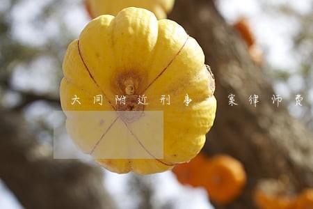 大同附近刑事大案律师费 大同附近刑事大案律师费