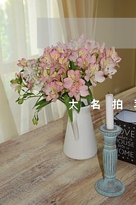 大名拍卖网 大名拍卖网