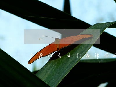 大品牌专业刑事律师排名 大品牌专业刑事律师排名