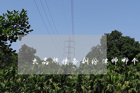 大品牌债务纠纷律师哪个好 大品牌债务纠纷律师哪个好