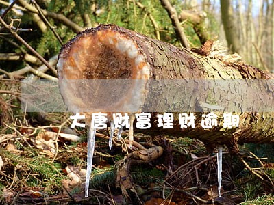 大唐财富理财逾期 大唐财富理财逾期