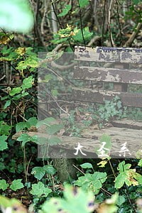 大圣系列贷款口子逾期 大圣系列贷款口子逾期