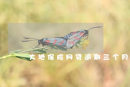 大地保险网贷逾期三个月 大地保险网贷逾期三个月