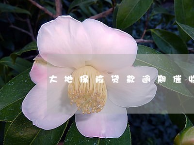 大地保险贷款逾期催收 大地保险贷款逾期催收