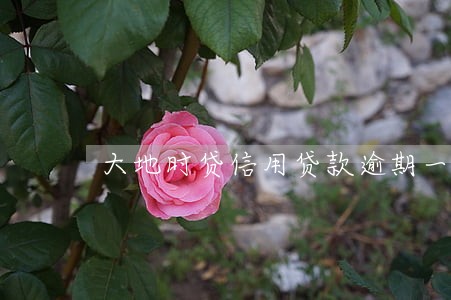 大地时贷信用贷款逾期一天 大地时贷信用贷款逾期一天