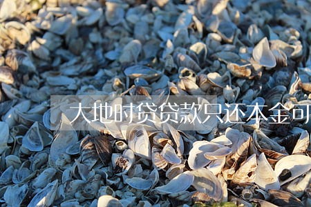 大地时贷贷款只还本金可以吗