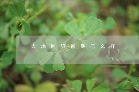 大地网贷逾期怎么样 大地网贷逾期怎么样