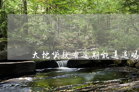 大地贷款有逾期能通过吗