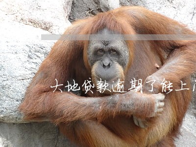 大地贷款逾期了能上门不 大地贷款逾期了能上门不