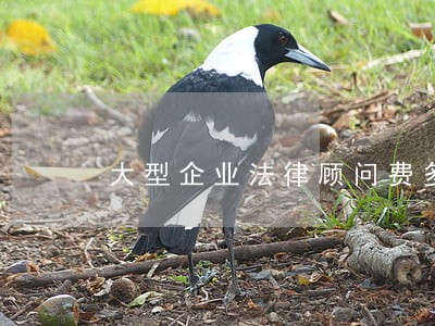 大型企业法律顾问费多少 大型企业法律顾问费多少