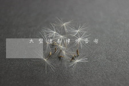 大型债务律师咨询 大型债务律师咨询
