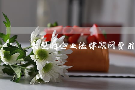 大型的企业法律顾问费用 大型的企业法律顾问费用