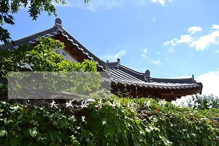 大城经济纠纷律师免费咨询 大城经济纠纷律师免费咨询