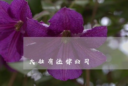 大壮有法律公司 大壮有法律公司