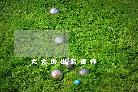 大大的出名律师 大大的出名律师