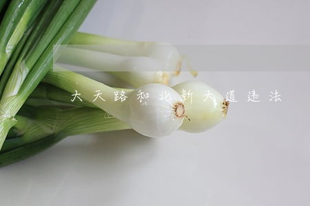 大天路和北新大道违法 大天路和北新大道违法