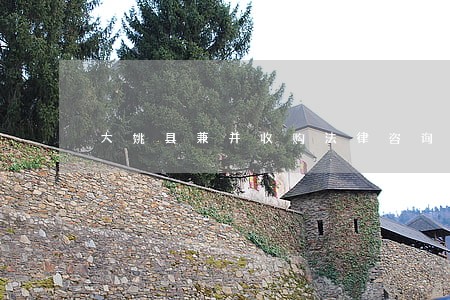 大姚县兼并收购法律咨询热线 大姚县兼并收购法律咨询热线
