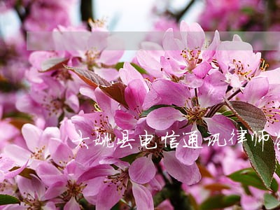 大姚县电信通讯律师咨询电话 大姚县电信通讯律师咨询电话